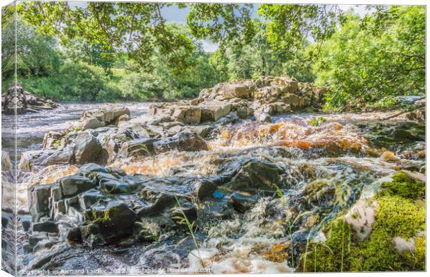 A Summer Cascade on the River Tees Canvas Print by Richard Laidler