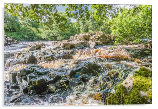 A Summer Cascade on the River Tees Acrylic by Richard Laidler