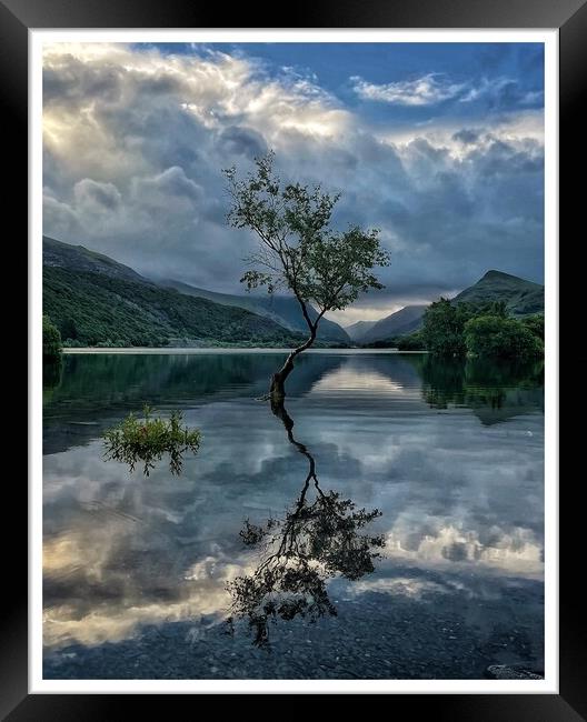 The Lone Tree Framed Print by John Martin