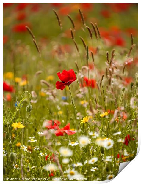 Poppy and meadow flowers Print by Simon Johnson