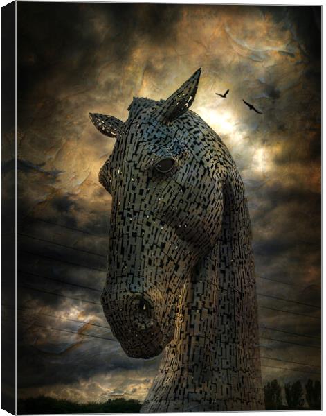 Duke, The Kelpies. Canvas Print by Tommy Dickson