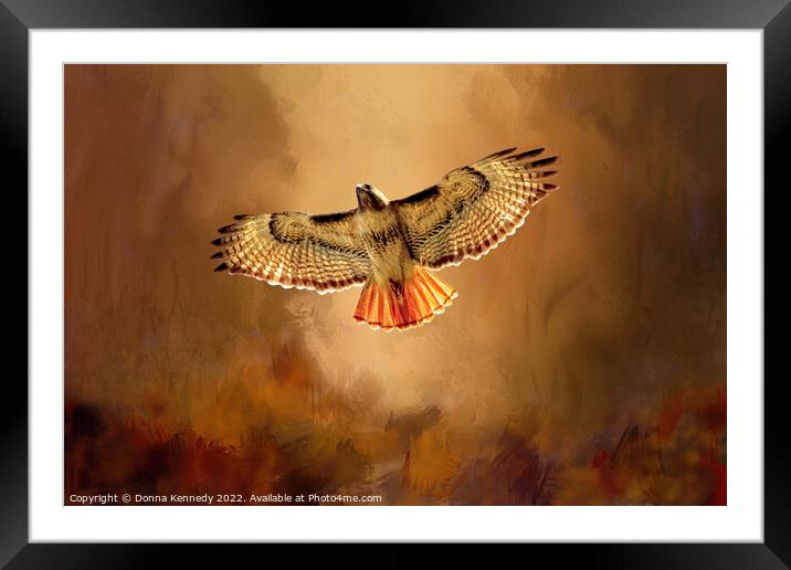 Autumn Flight Framed Mounted Print by Donna Kennedy