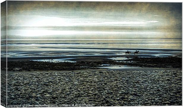 Canter on Beach Canvas Print by David Mccandlish