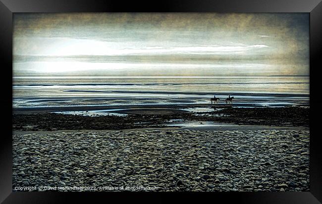 Canter on Beach Framed Print by David Mccandlish