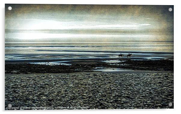 Canter on Beach Acrylic by David Mccandlish