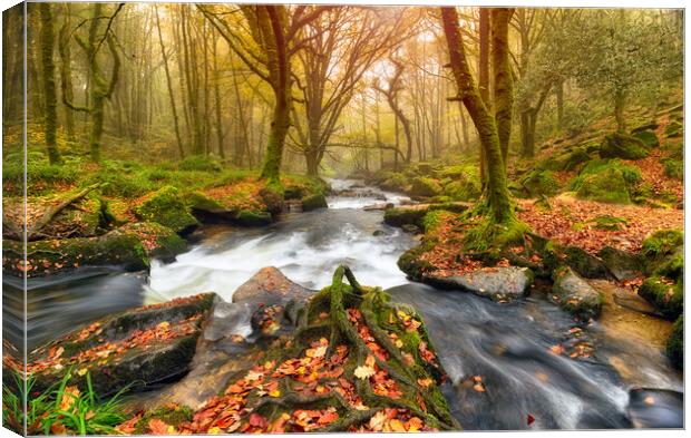 Autum Forest River Canvas Print by Helen Hotson