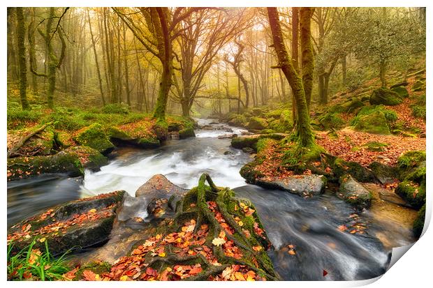 Autum Forest River Print by Helen Hotson