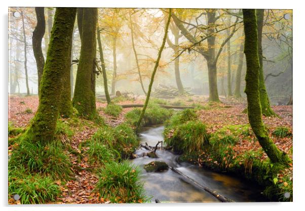 Woodland Stream Acrylic by Helen Hotson