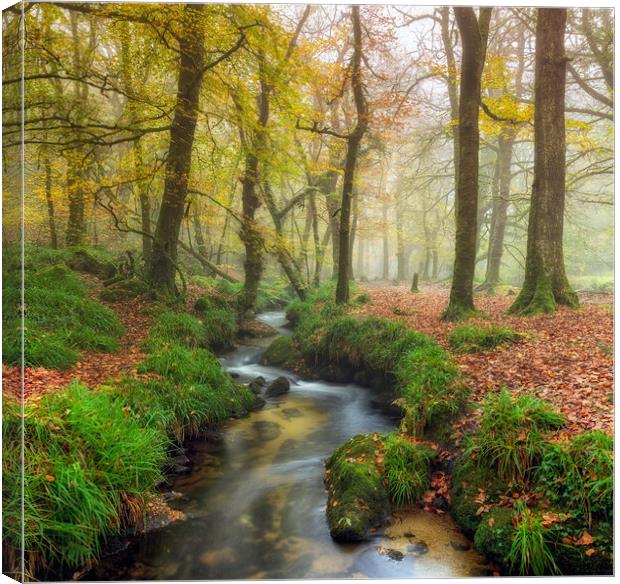 Misty Forest Canvas Print by Helen Hotson