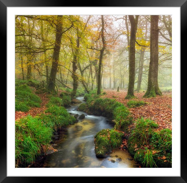 Misty Forest Framed Mounted Print by Helen Hotson