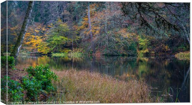 Autumnal Woodland near Pitlochry Canvas Print by George Robertson