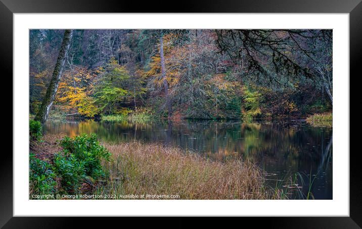 Autumnal Woodland near Pitlochry Framed Mounted Print by George Robertson
