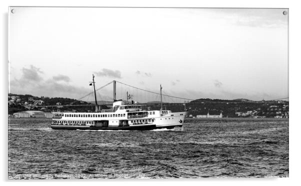 The ferry goes through the Bosphorus Strait. Istanbul, Turkey. Acrylic by Sergey Fedoskin
