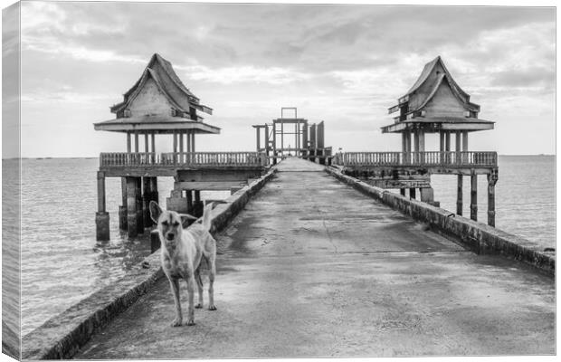 A  street dog at a pier leading to an unfinished temple Canvas Print by Wilfried Strang