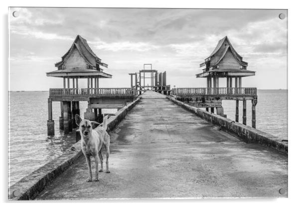 A  street dog at a pier leading to an unfinished temple Acrylic by Wilfried Strang