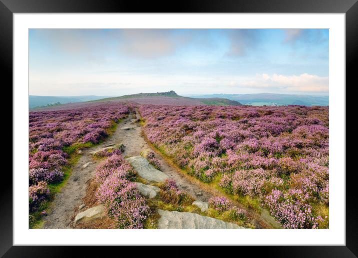 Heather at Winyards Nick Framed Mounted Print by Helen Hotson