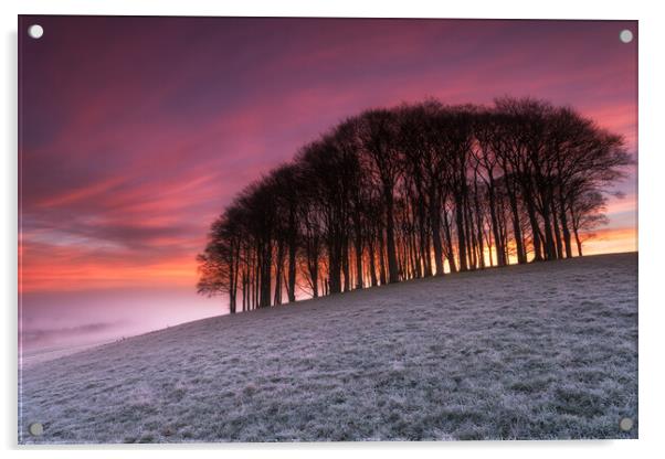 Fiery Sunrise over Those Trees Acrylic by Helen Hotson