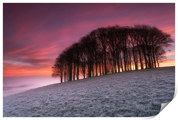 Fiery Sunrise over Those Trees Print by Helen Hotson
