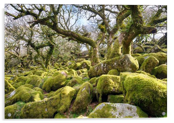 Wistman's Wood on Dartmoor Acrylic by Helen Hotson