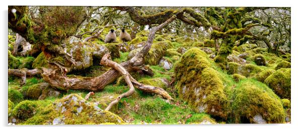 Wistman's Wood on Dartmoor  Acrylic by Helen Hotson