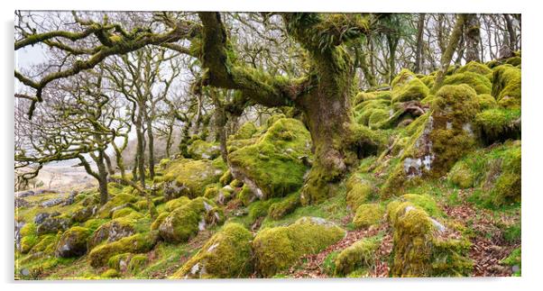 Wistman's Wood on Dartmoor Acrylic by Helen Hotson
