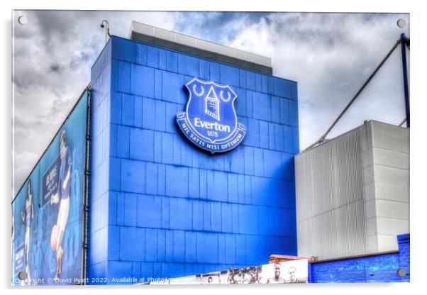 Goodison Park Stadium  Acrylic by David Pyatt