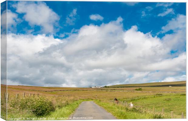 Wool Pits Hill Big Sky Canvas Print by Richard Laidler