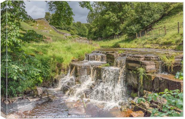 Waterfall on Ettersgill beck in Summer Sunshine Canvas Print by Richard Laidler