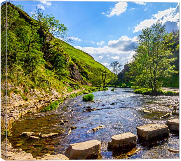 Dovedale Stepping Stones Canvas Print by Darren Burroughs