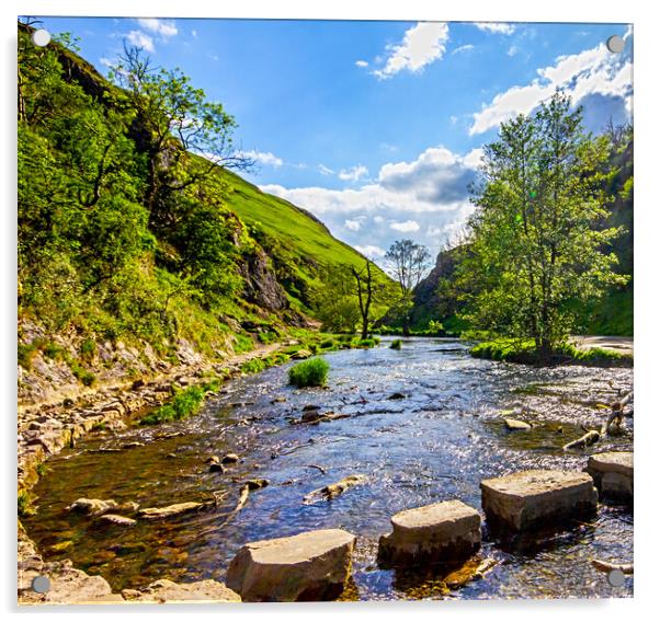 Dovedale Stepping Stones Acrylic by Darren Burroughs