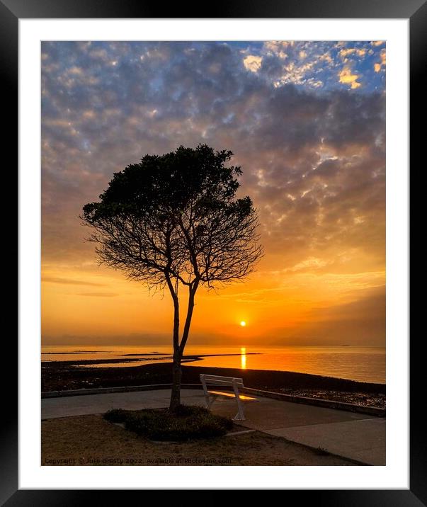 Tree and Bench at Sunset Framed Mounted Print by Julie Gresty