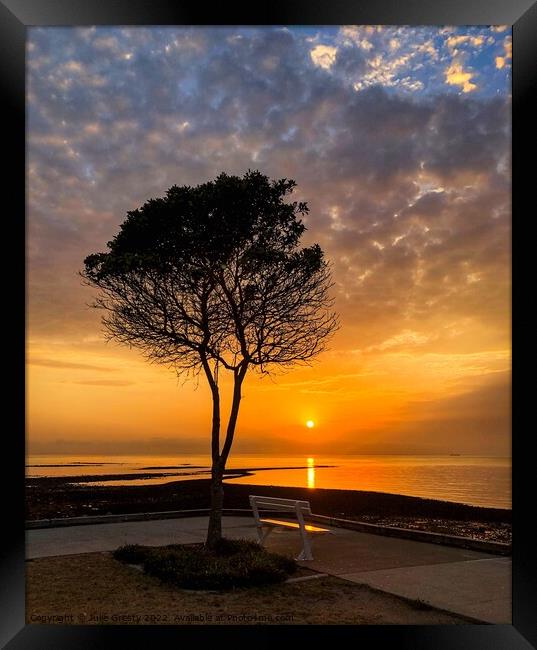 Tree and Bench at Sunset Framed Print by Julie Gresty