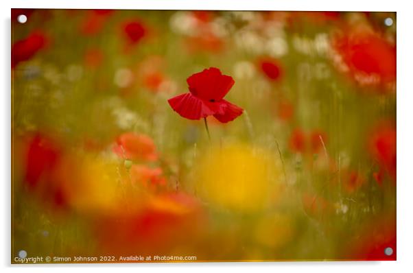 Poppy  Acrylic by Simon Johnson