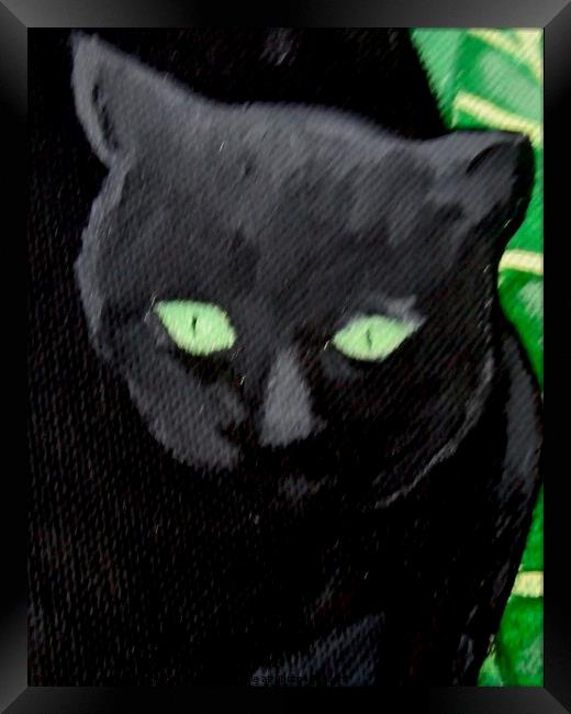 Black Cat Framed Print by Stephanie Moore