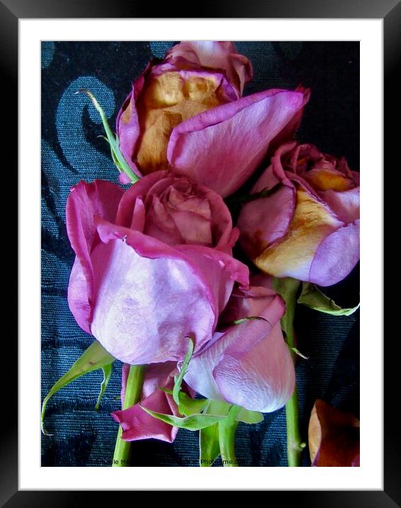 Dying Pink Roses Framed Mounted Print by Stephanie Moore