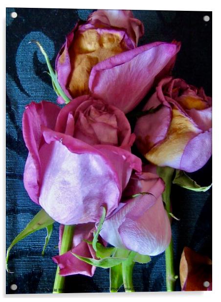 Dying Pink Roses Acrylic by Stephanie Moore