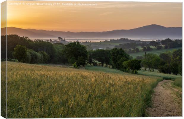 Tuscan dawn Canvas Print by Angus McComiskey