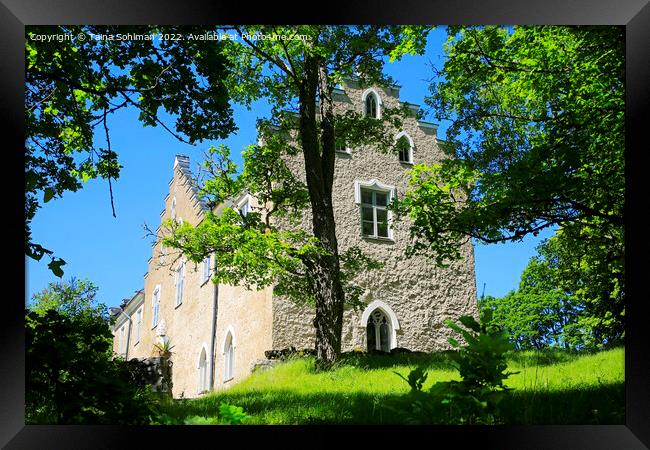 Suitia Manor Castle Among Oak Trees Framed Print by Taina Sohlman