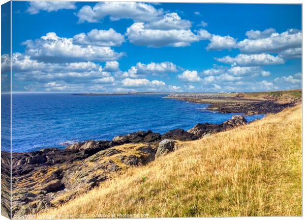 Sun-kissed Isle of Man Coastline Canvas Print by Roger Mechan