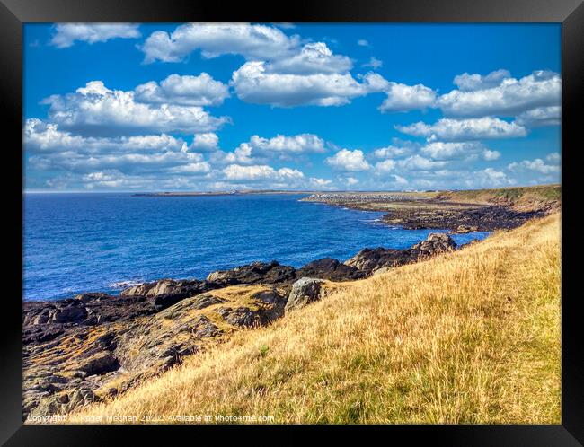 Sun-kissed Isle of Man Coastline Framed Print by Roger Mechan