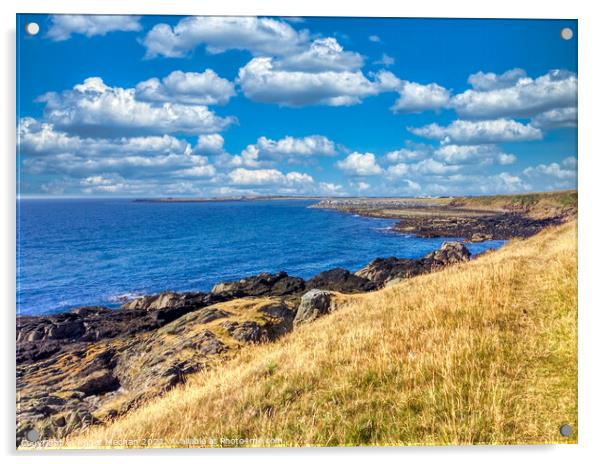 Sun-kissed Isle of Man Coastline Acrylic by Roger Mechan