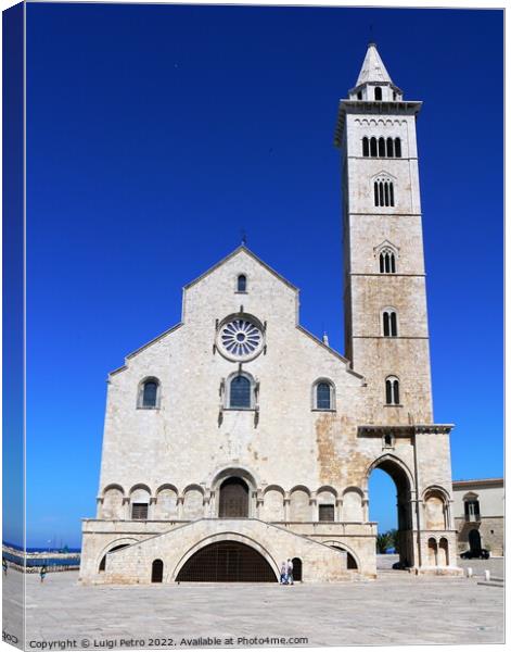 West  facade of the Cathedral in Trani, Apulia region, Italy. Canvas Print by Luigi Petro