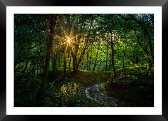 The path to Darren Mountain. Framed Mounted Print by Leighton Collins