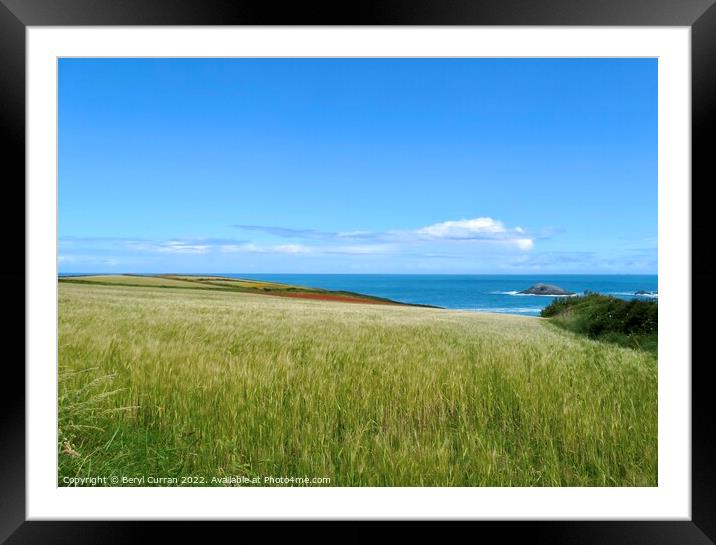 Vibrant Poppy Fields of West Pentire Framed Mounted Print by Beryl Curran