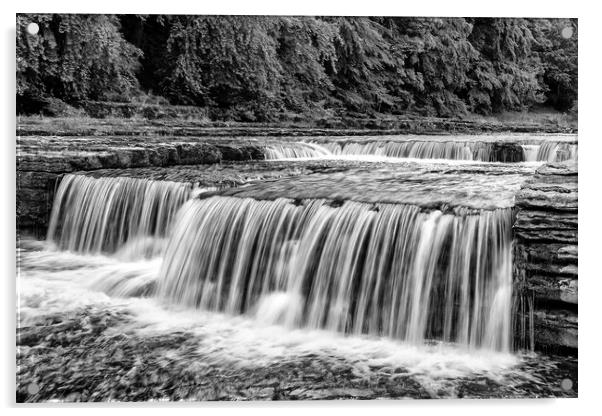 Aysgarth Falls Acrylic by Roger Green