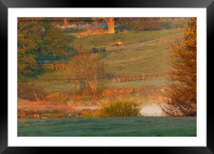 Early  Morning Framed Mounted Print by andrew saxton