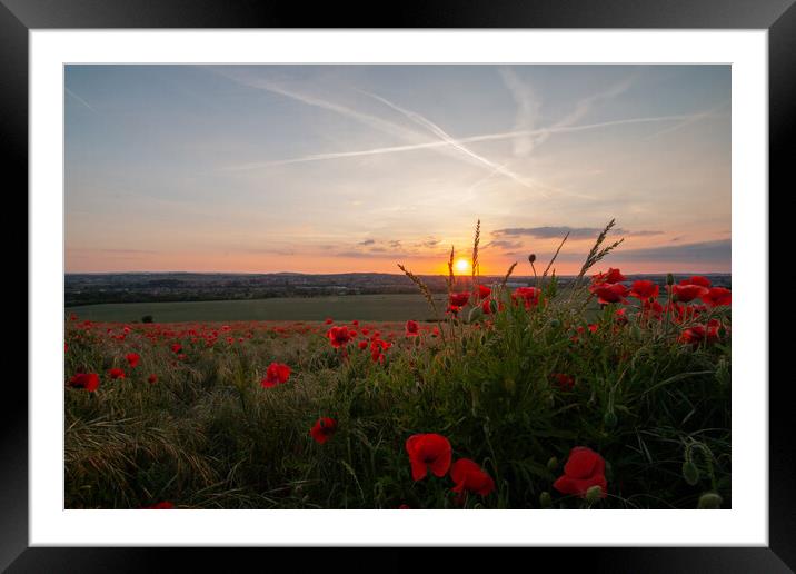 Sunset Over Poppies Framed Mounted Print by J Biggadike