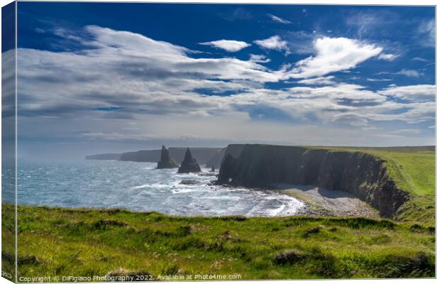 Duncansby Sea Stacks Canvas Print by DiFigiano Photography