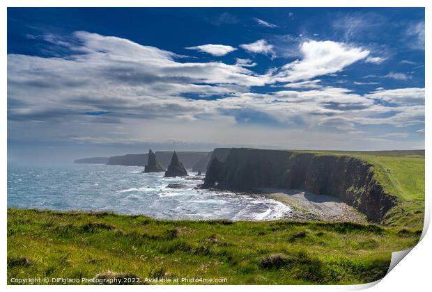 Duncansby Sea Stacks Print by DiFigiano Photography