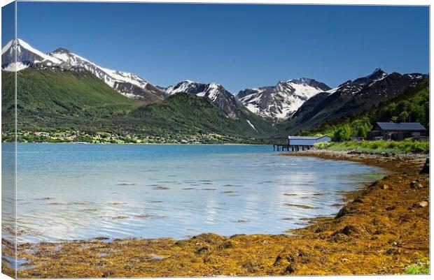 Romsdalsfjord and Isforden Village Norway Canvas Print by Martyn Arnold